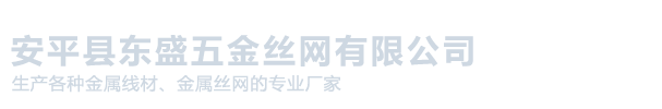 安平縣東盛五金絲網有限公司